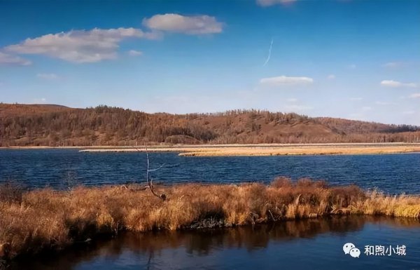 坝上草原在河北什么地方
