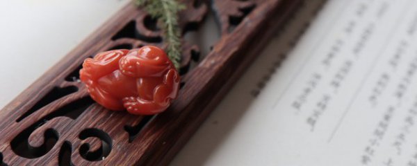 兔本命年家中摆什么