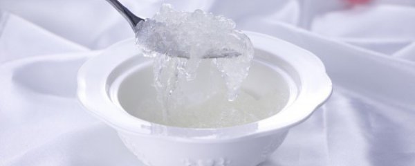 燕窝需要煮多久