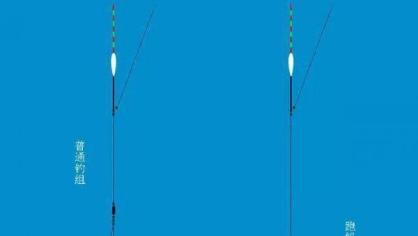 鲶鱼是什么鱼怎么钓