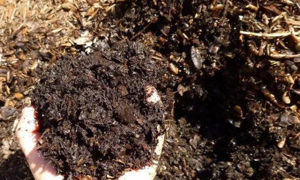 盆栽植物的配土方法