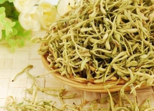 金银花可以吃吗