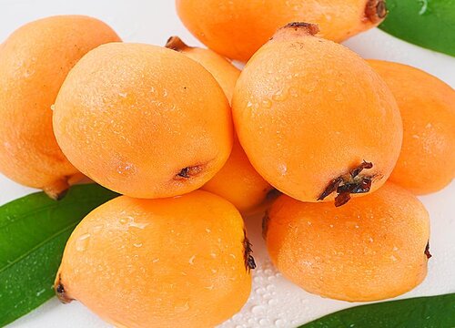 塘栖枇杷什么时候成熟