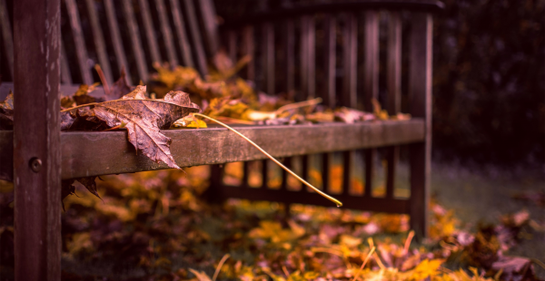 12星座谁最喜欢水瓶