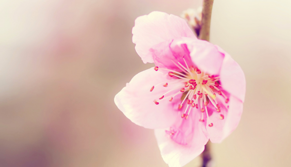 12星座谁最喜欢水瓶