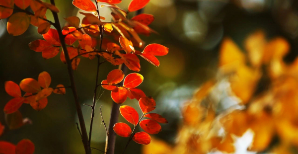 12星座谁最喜欢水瓶