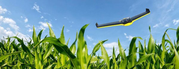 数字乡村建设六大内容