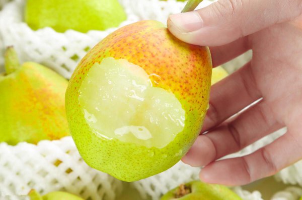 香梨几月份成熟