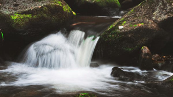 隐藏超高智商的傻星座