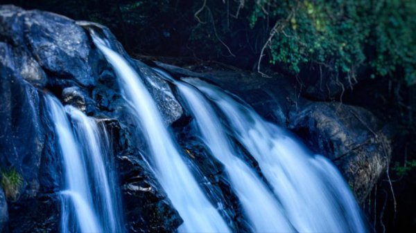 隐藏超高智商的傻星座