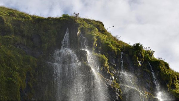 隐藏超高智商的傻星座