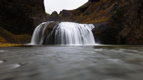 隐藏超高智商的傻星座