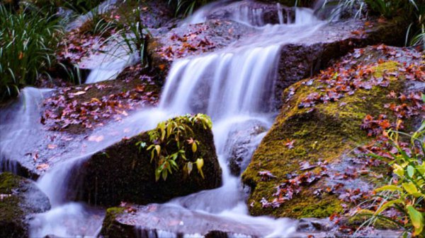 隐藏超高智商的傻星座