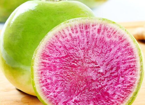 宠物狗狗可以吃萝卜吗