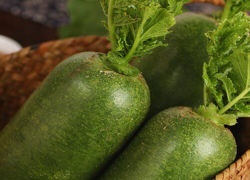 宠物狗狗可以吃萝卜吗