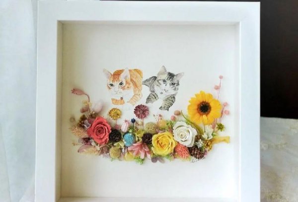 永生花独角兽寓意