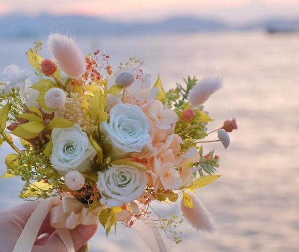 永生花独角兽寓意