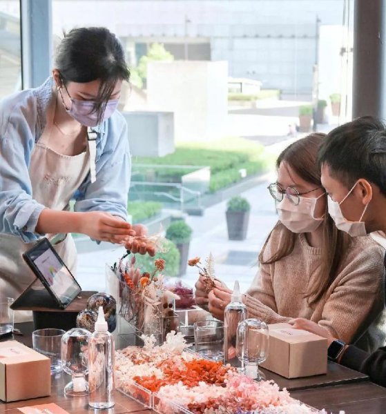 永生花独角兽寓意