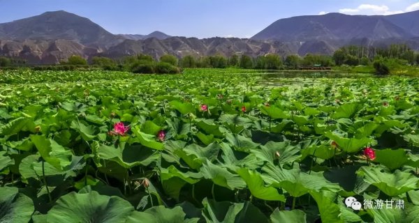 兰州周边旅游可以去哪里