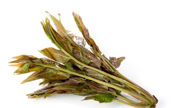 香椿焯水后要过冷水吗