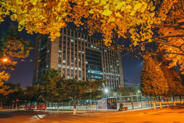 东北985大学多吗