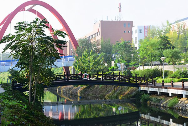 东北985大学多吗