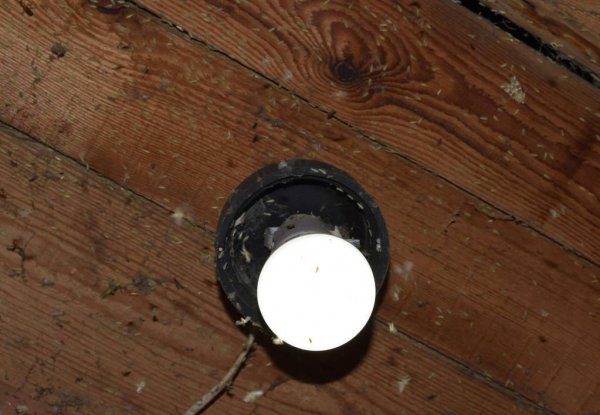 灭蚊灯紫色光线对人有伤害吗