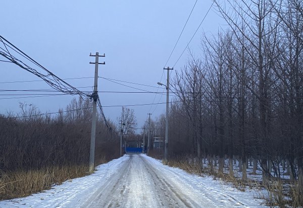 牡丹江是哪个省的城市
