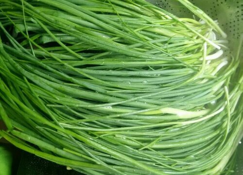 小葱怎么洗才干净