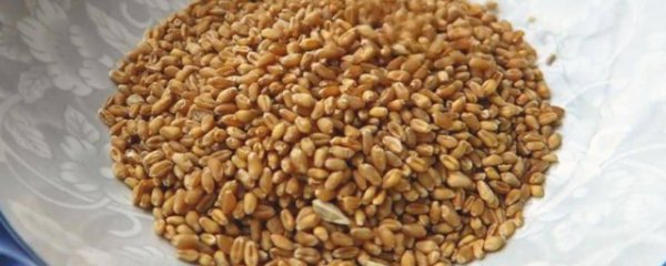 麦芽水什么时候喝好