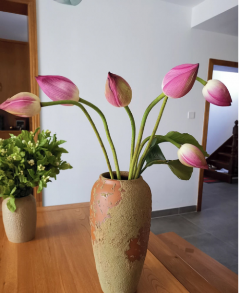 花瓶里面加什么延长鲜花寿命