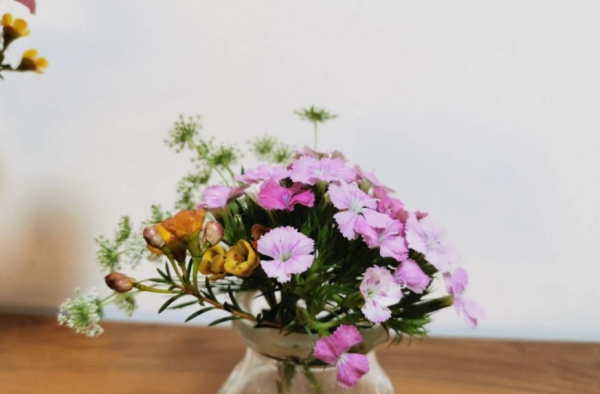 花瓶里面加什么延长鲜花寿命