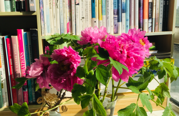 花瓶里面加什么延长鲜花寿命