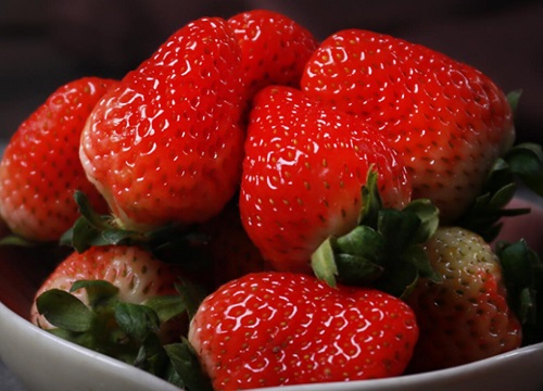 草莓的生长过程