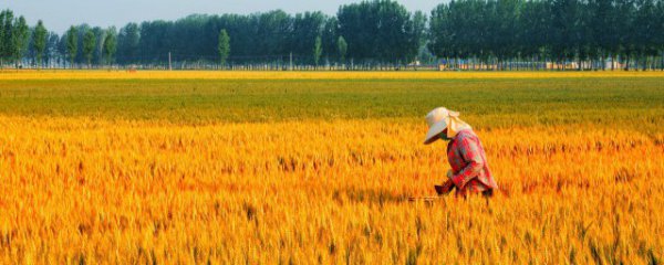 养殖新手需要注意什么