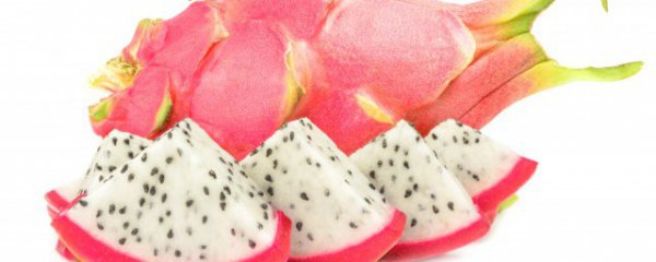 火龙果是凉性还是热性的