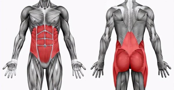 核心训练四个经典动作