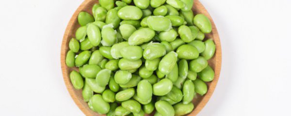 新鲜豆瓣储存方法