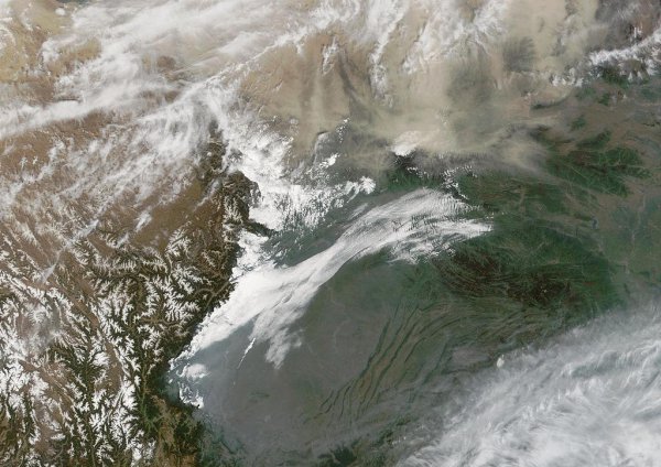 大熊猫的生活方式和特点简单介绍