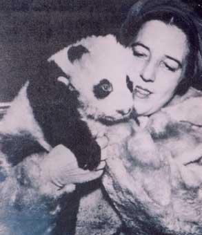 大熊猫的生活方式和特点简单介绍