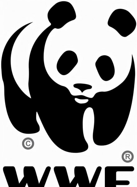 大熊猫的生活方式和特点简单介绍