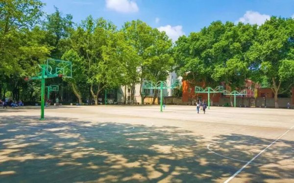 本科预科班是什么意思