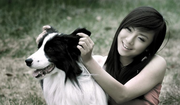 适合女生养的巨型犬霸气