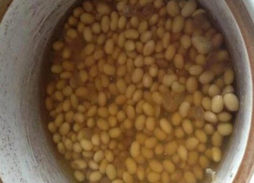 蟹爪兰浇灌这些肥水花开爆满