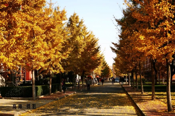 中国传媒大学艺考分数