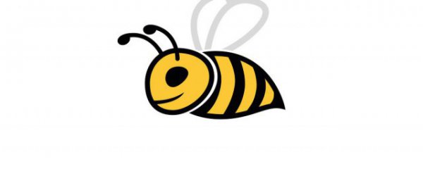 蜜蜂新手养殖注意事项