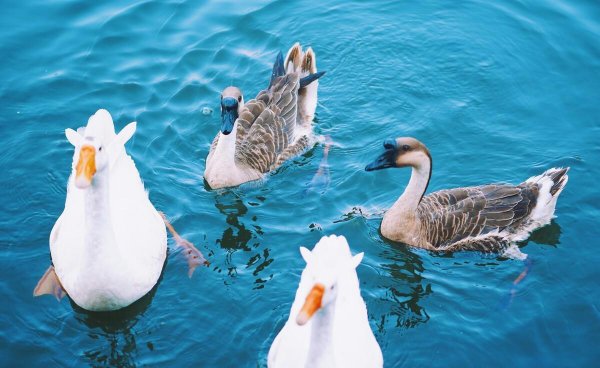 紫金县属于哪个市管辖