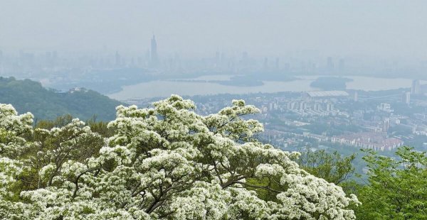 紫金县属于哪个市管辖