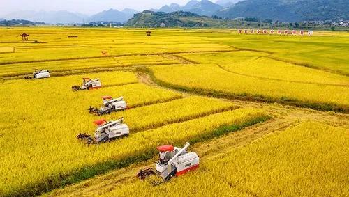 中国粮食储备够吃几年时间