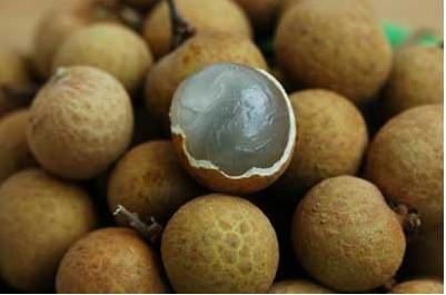 龙眼核的功效与作用